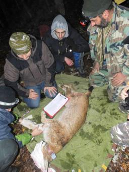 10516858_1003117059701036_7848344452751614472_n