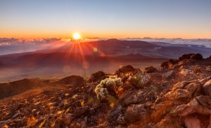 12697212_10208739746351978_3228349499869837648_o