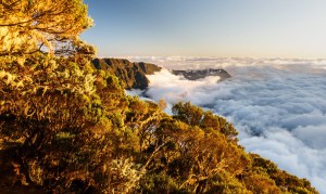 12710923_10208739744391929_1597512161737225991_o