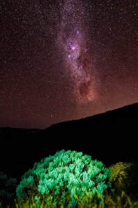 12719525_10208739745311952_4334857814574028158_o