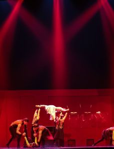 13072710_1335647276462489_3552839377982890351_o