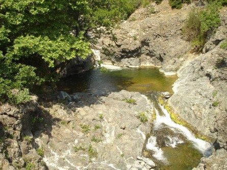 ____________________