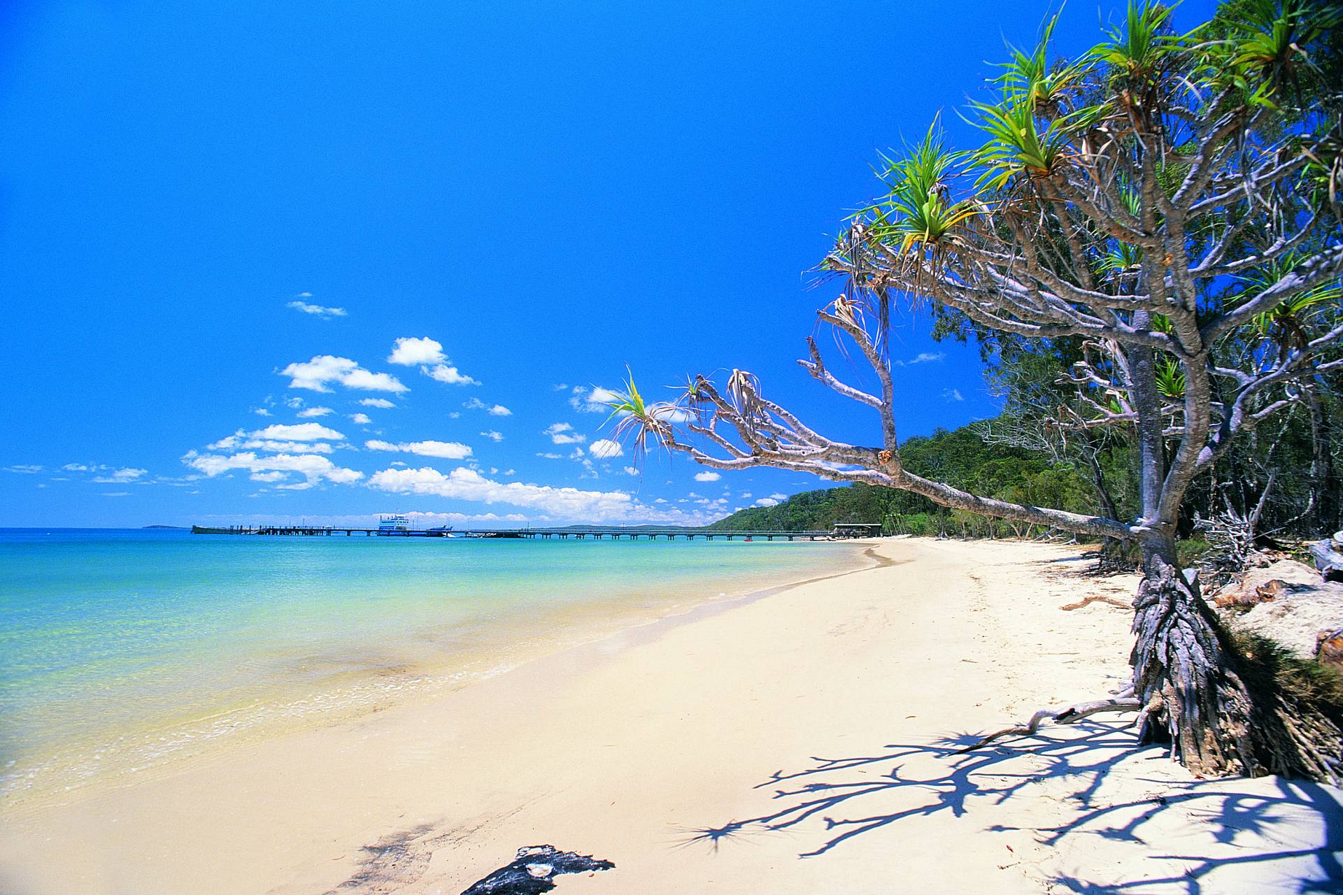 fraser_island