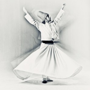whirling-dervish-1