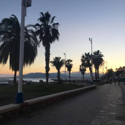 17821263_1659547804059316_1026742896_n