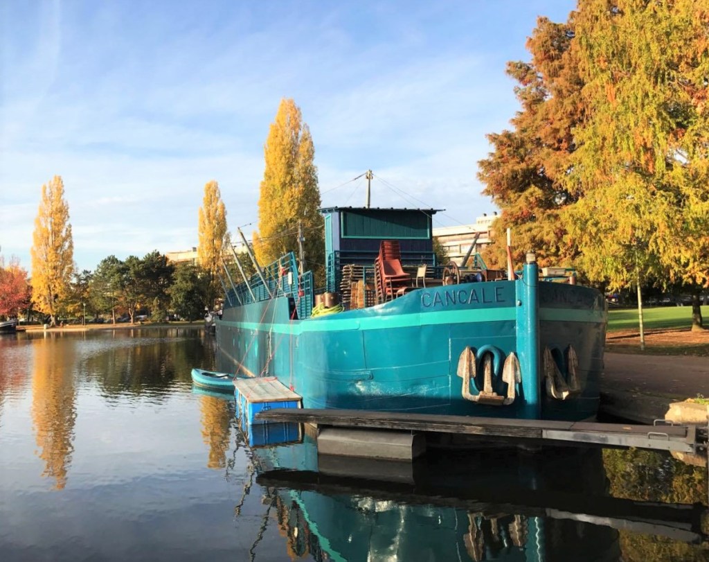 Дижон: Не е само&nbsp;сенфот