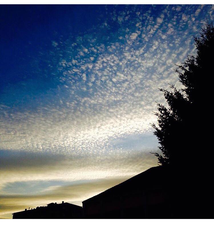 36566667_2109786742611400_4558381492849344512_n