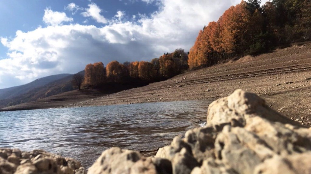 Të rinjtë të përkushtuar për&nbsp;paqe