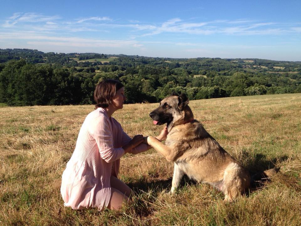 Jeta e një&nbsp;qeni