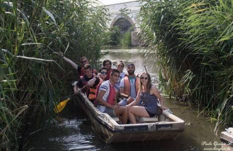 38866618_841754316017527_7545899480533434368_n