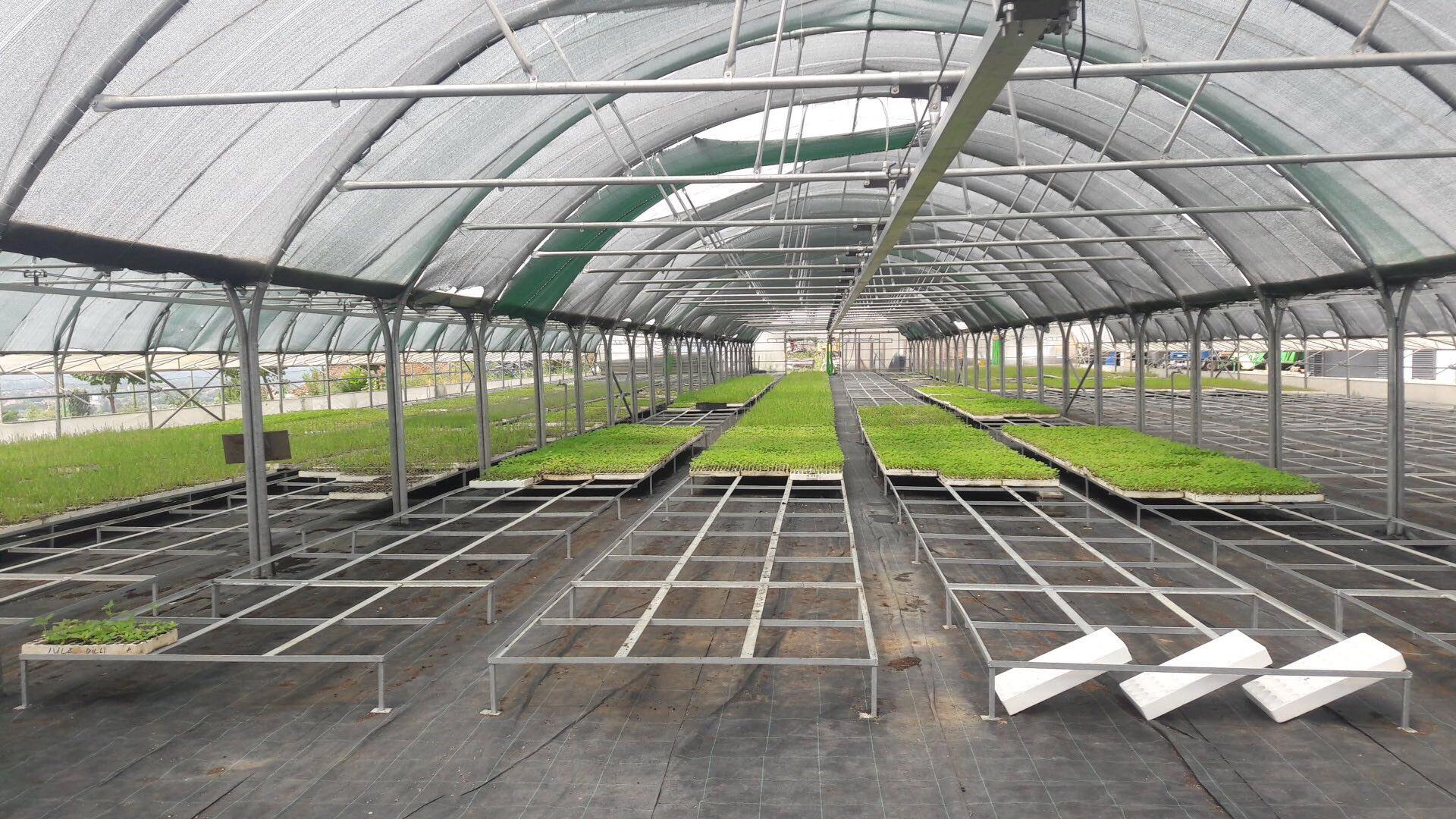 42673234_649278965472416_7233743744246218752_n