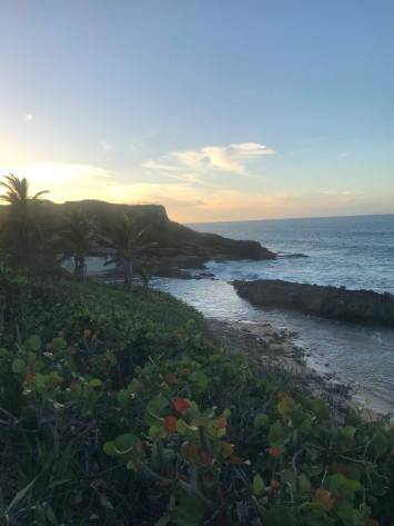 46505894_925987454457042_5441457396318732288_n