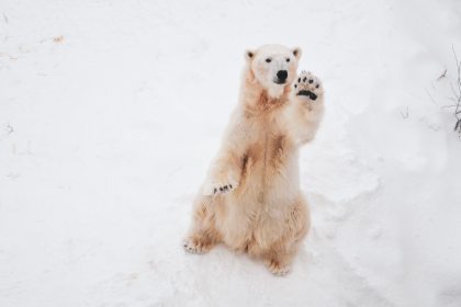 photo-1546712509-3ec2705dd635