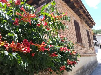 67084464_571738873230384_8374414498886320128_n