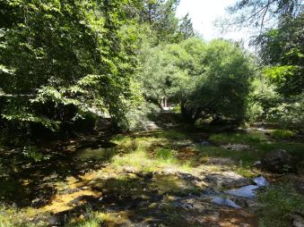 67221455_2357079437947644_7873043132265267200_n