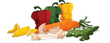 Pollution, litter, rubbish and trash objects isolated