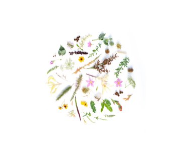 evie-s-vbA1HNW-APA-unsplash