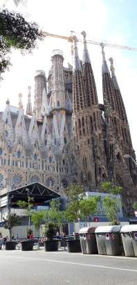 78677920_480133692612721_8914157034610360320_n