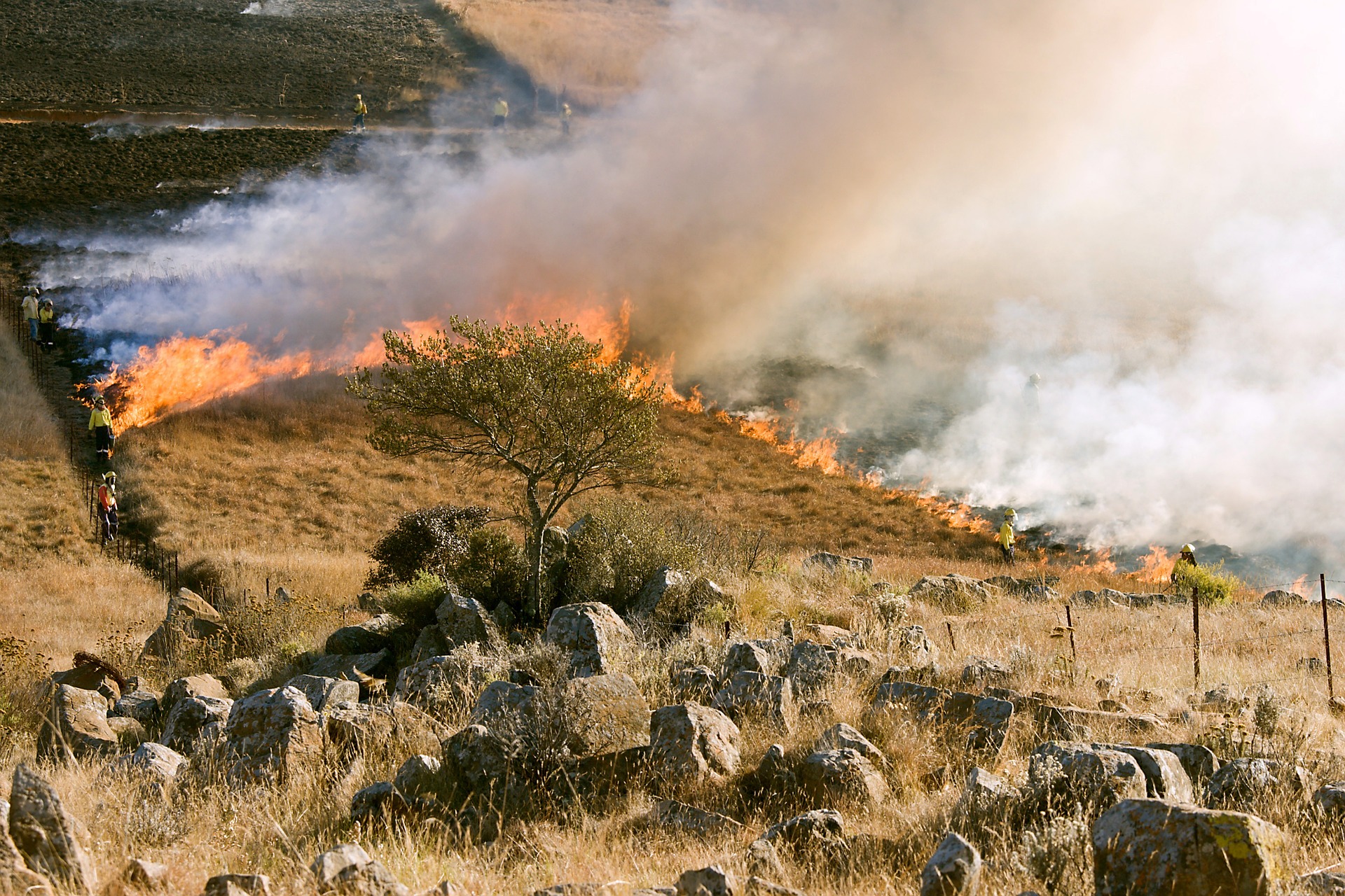 grass-fire-807388_1920
