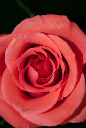 meredith-whitman-KSazKUB4T-Y-unsplash