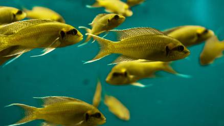 roxana-baciu-PJJ8czfLpp0-unsplash