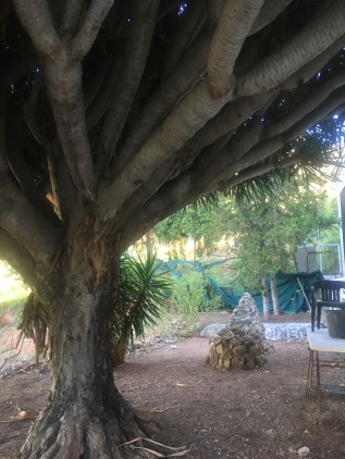 C12CE70B-3368-427E-A9E6-A0F4DADDB72E