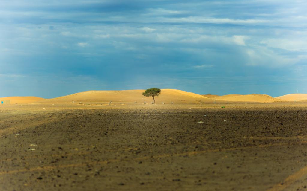 Quarantine story: If you took away from&nbsp;me