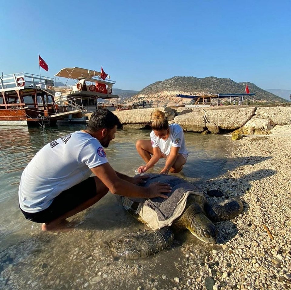Сега е секогаш вистинското&nbsp;време