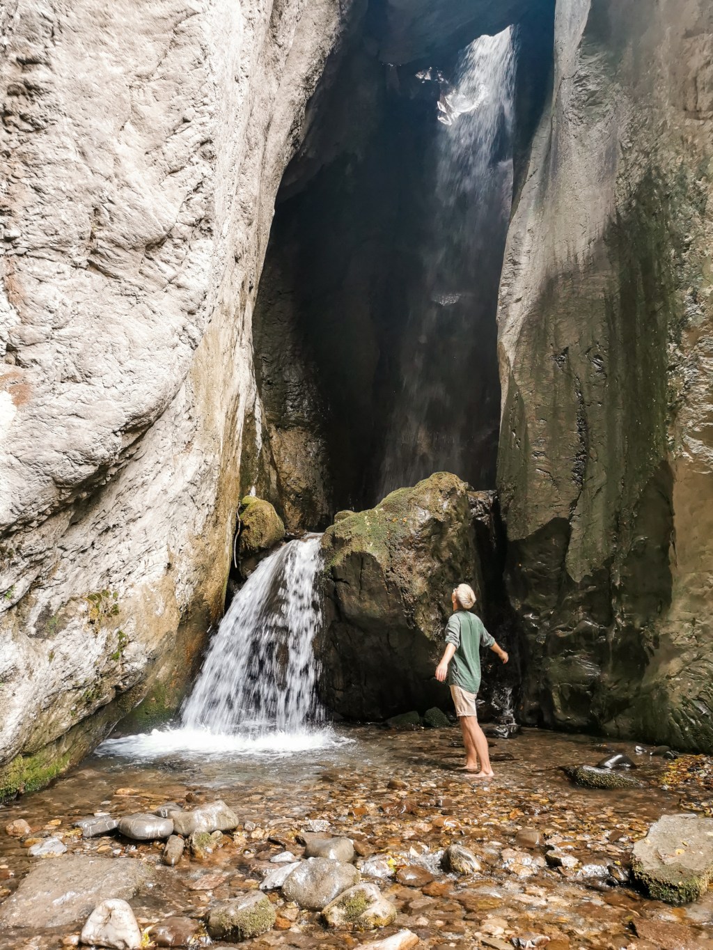 Ослободете ја дивината во вас, преуредете го вашиот живот 