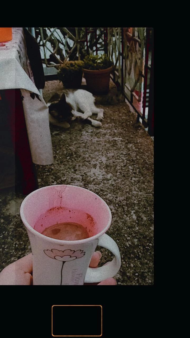 Исповед на горда вљубена&nbsp;девојка