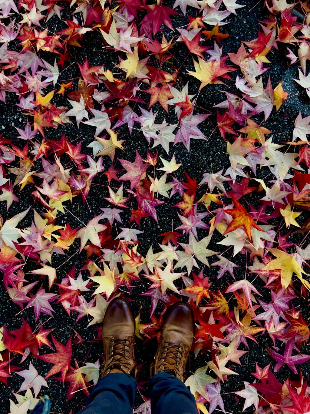 Се запознавме во&nbsp;ноември