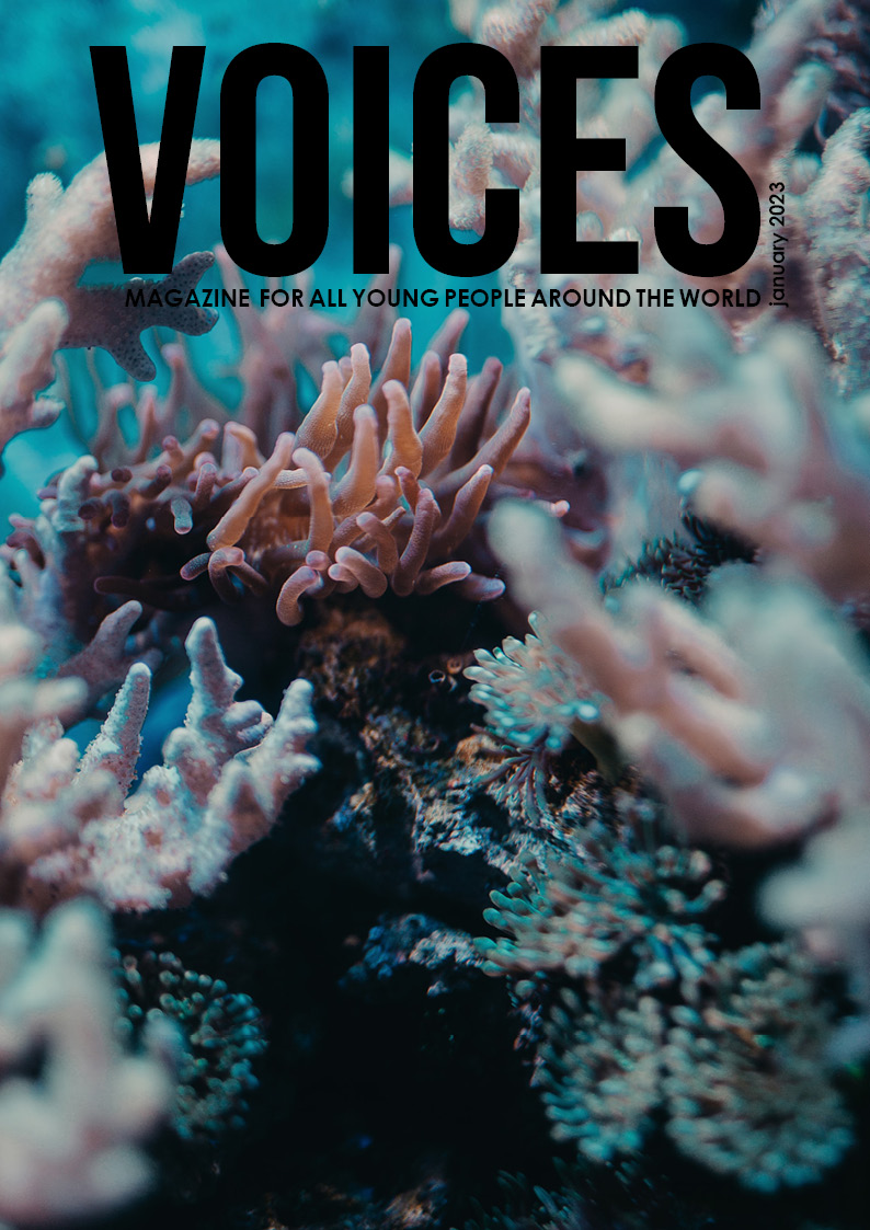 VOICES January 2023