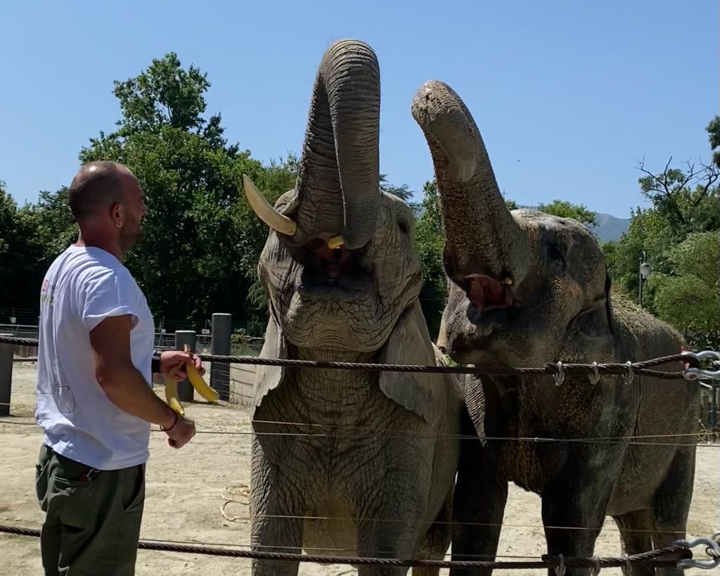 Од ЗОО Скопје – со&nbsp;љубов