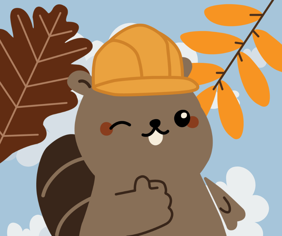 Beavers – Ecosystem&nbsp;Engineers