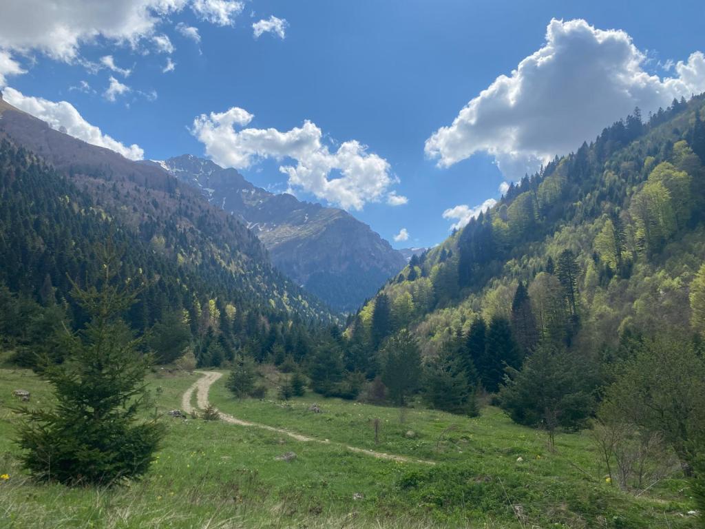 A love letter to&nbsp;hiking