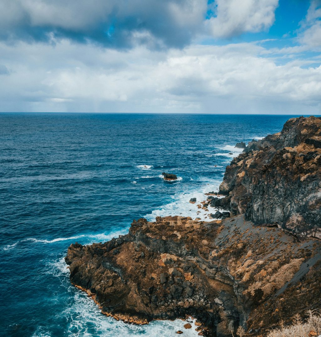 Galapagos Islands – A diverse destination with the rarest species in the&nbsp;world
