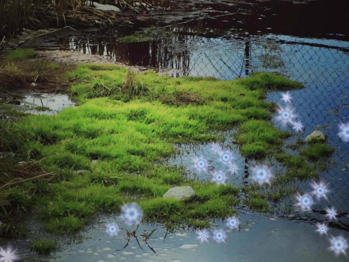 Legends that shaped our&nbsp;ancestors