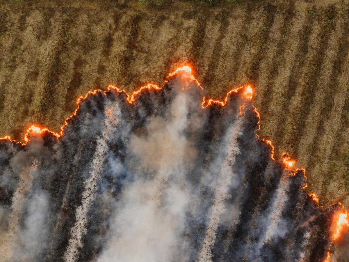 Economy of Global&nbsp;Warming