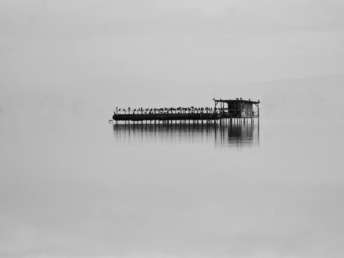 Silence 