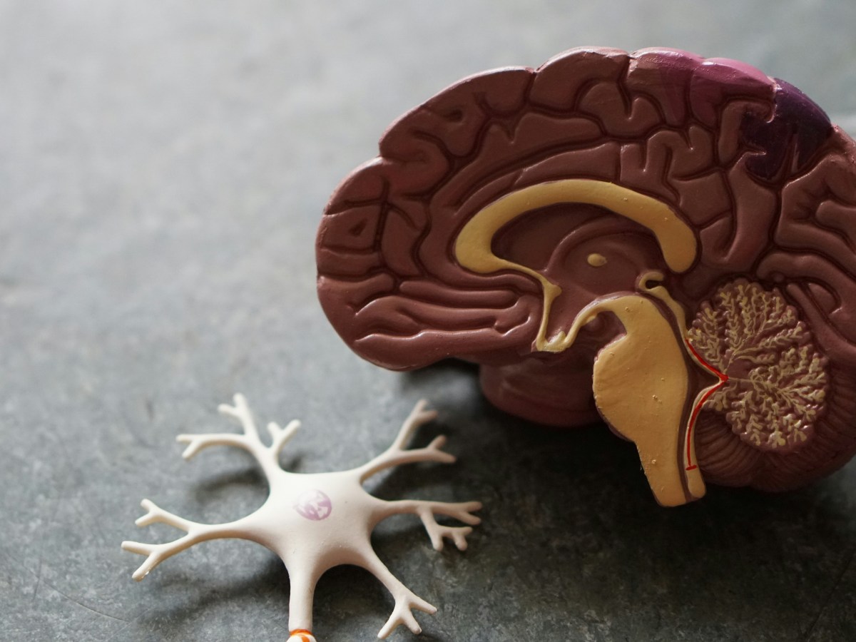 A piece of information inside our&nbsp;minds