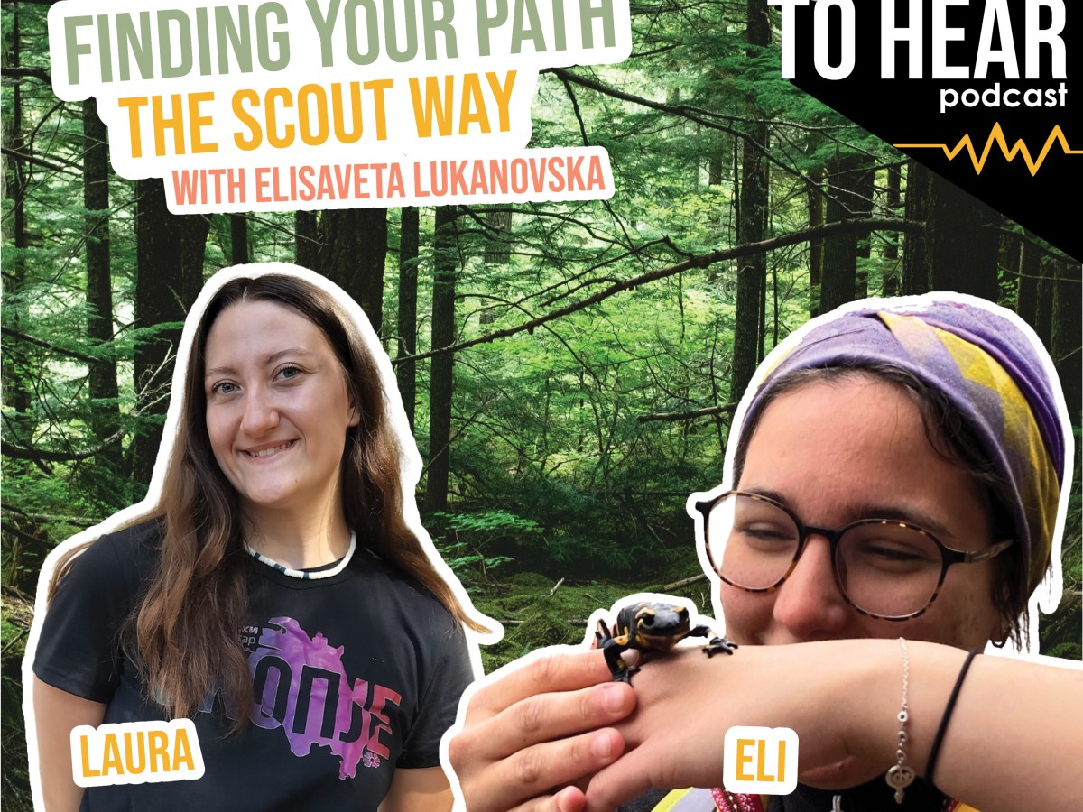 Finding your path the scout&nbsp;way
