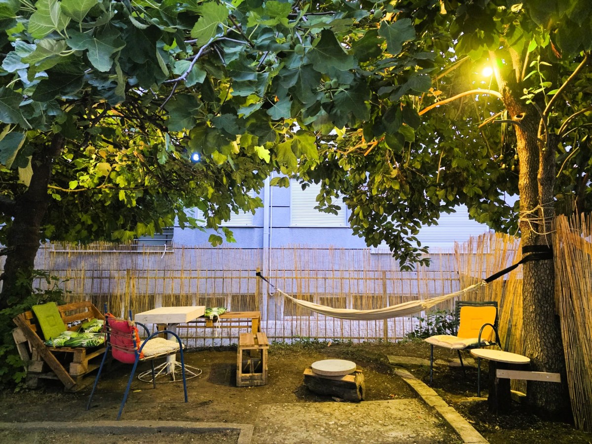 Summer under the fig&nbsp;tree